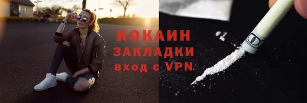трава Арсеньев