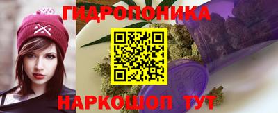твердый Берёзовский