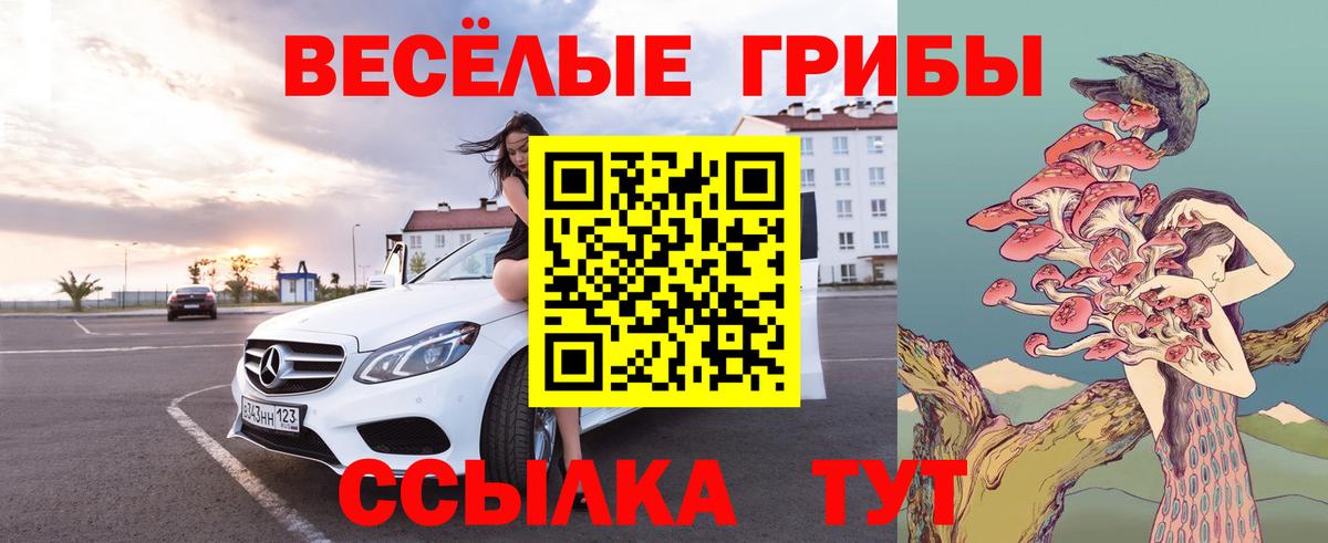 Дедовск  Галлюциногенные грибы GOLDEN TEACHER  Вход с VPN 