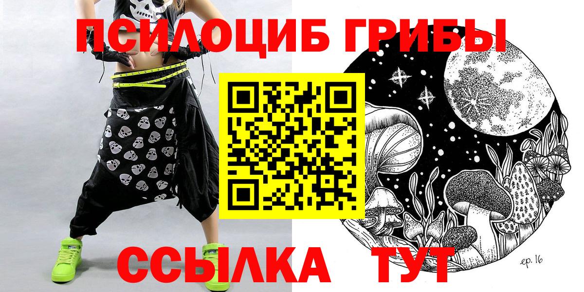 Галлюциногенные грибы Psilocybine cubensis Дедовск