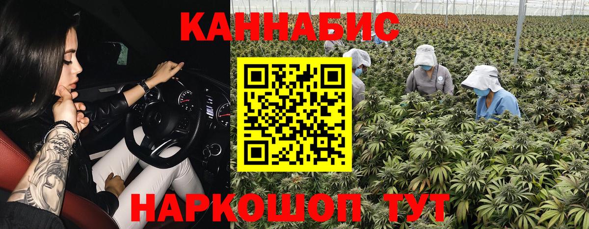 Канабис ГИДРОПОН  Марихуана семена  Вход с VPN  Дедовск 